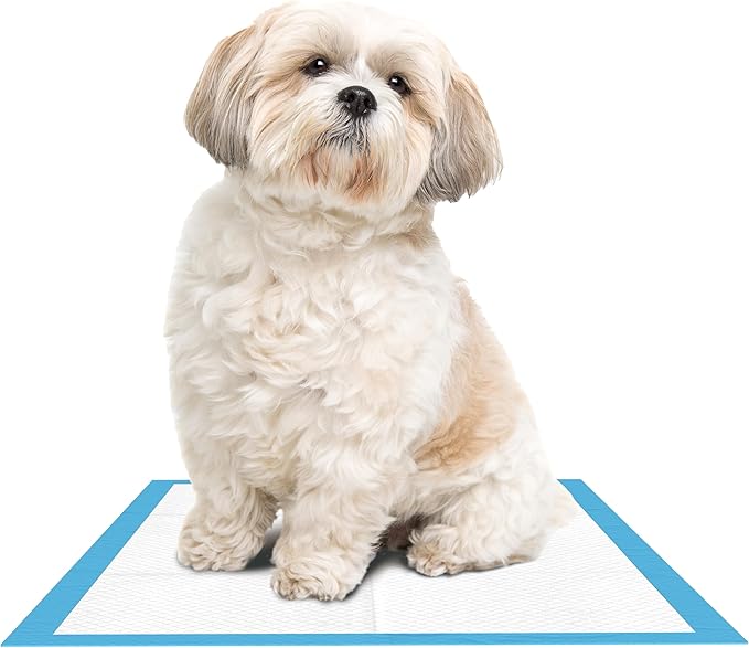 Inspire Disposable Chux Underpads, 23 x 36 Inches, (Pack of 300), for Dogs