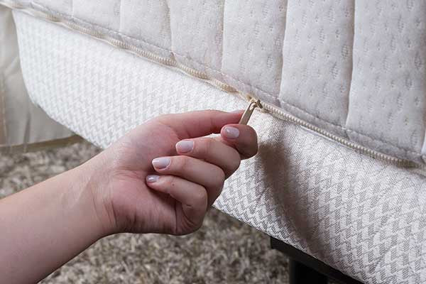 Transfer Master Supernal Hi-Low Height Adjustable Medical Bed