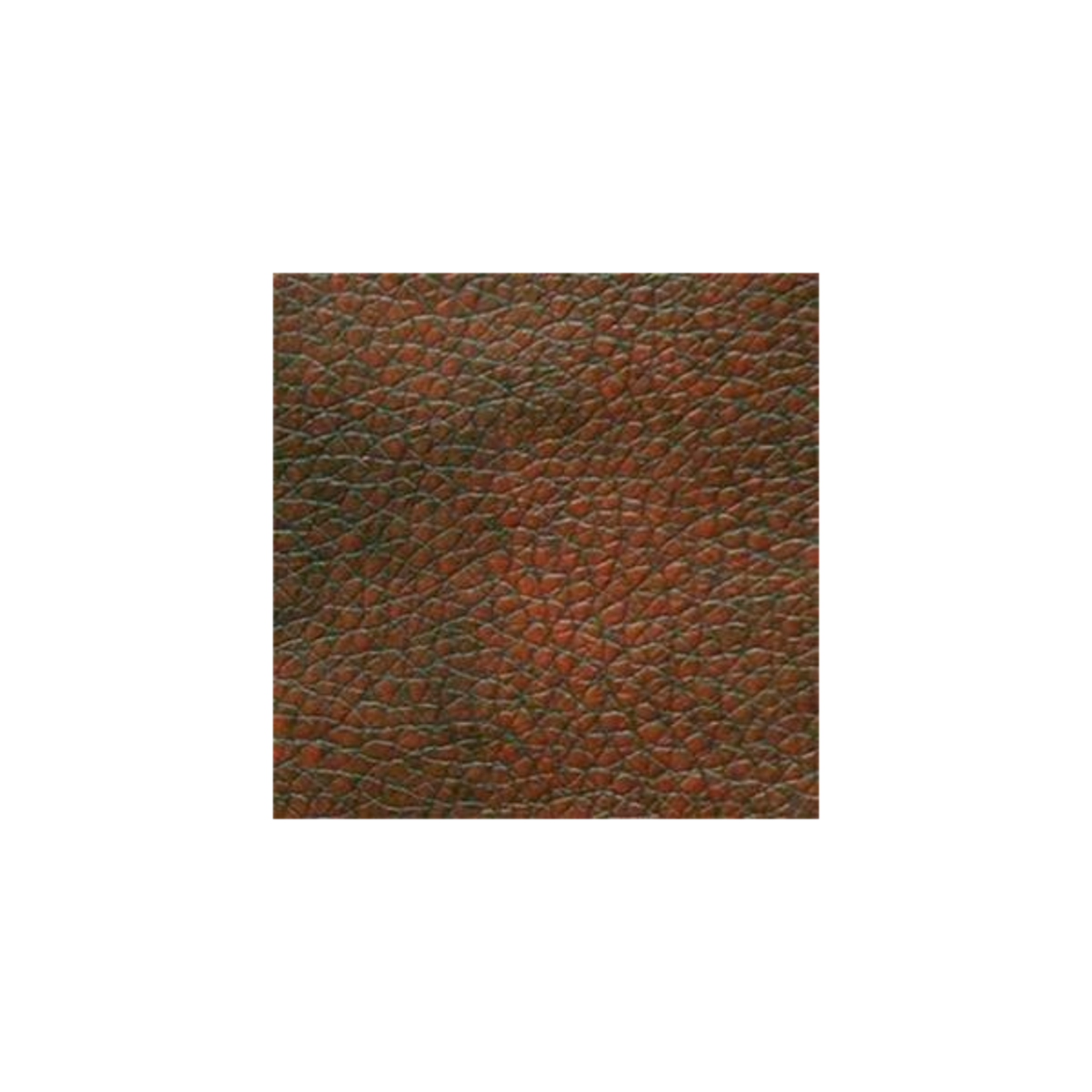 Golden  Technologies Capri Power Lift Chair Recliner